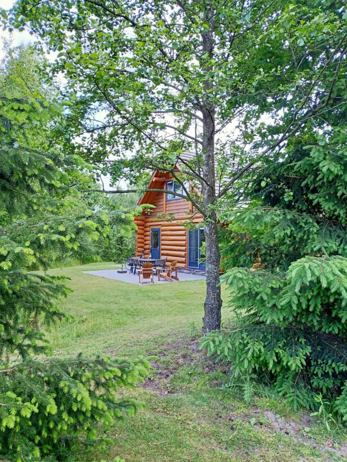 Unieke Houten Villa Met Sauna In Twente - 6P Den Ham Dış mekan fotoğraf