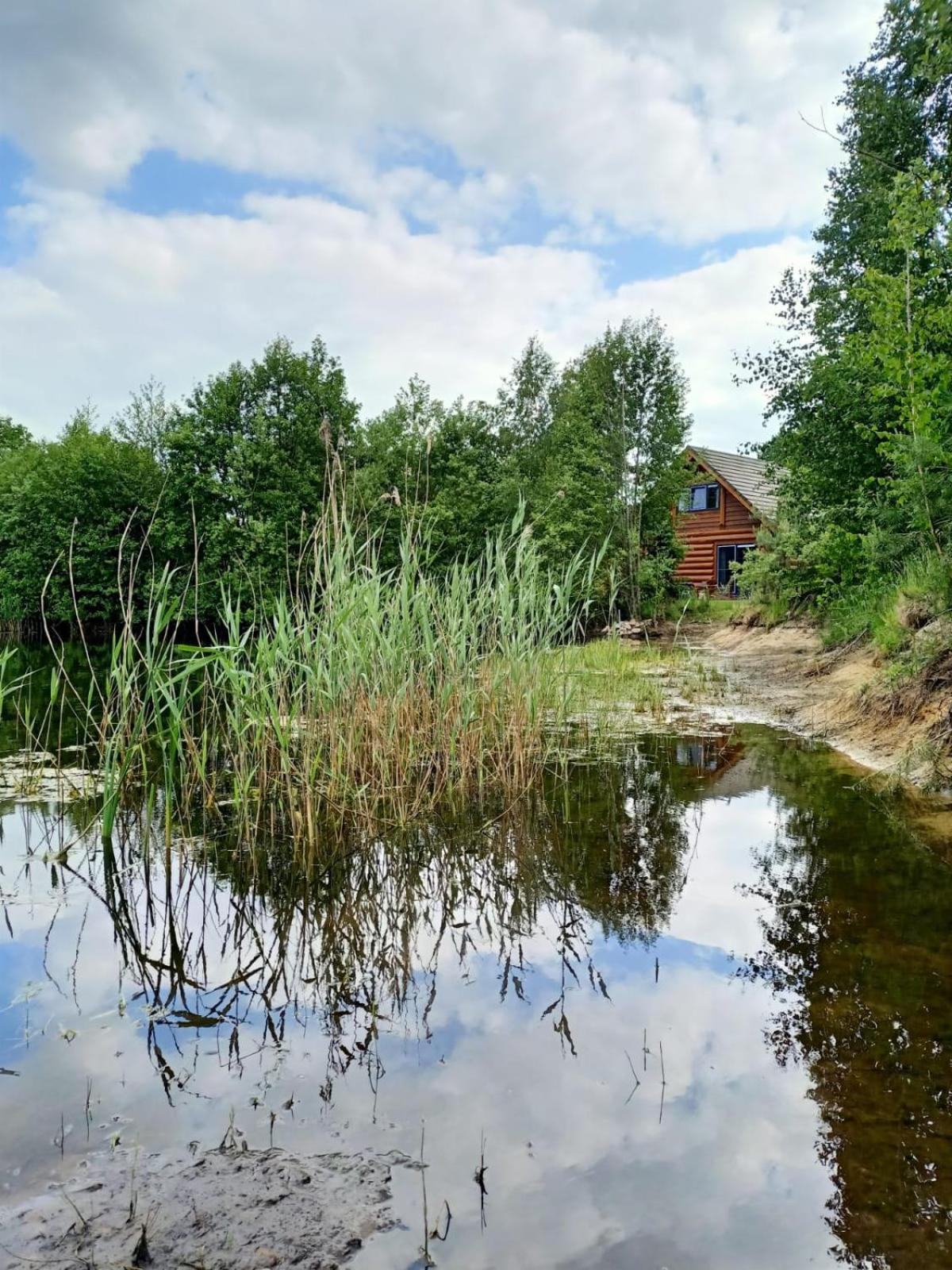 Unieke Houten Villa Met Sauna In Twente - 6P Den Ham Dış mekan fotoğraf